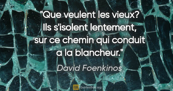 David Foenkinos citation: "Que veulent les vieux? Ils s'isolent lentement, sur ce chemin..."