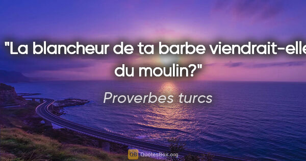 Proverbes turcs citation: "La blancheur de ta barbe viendrait-elle du moulin?"