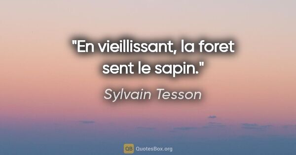 Sylvain Tesson citation: "En vieillissant, la foret sent le sapin."