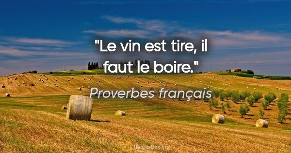 Proverbes français citation: "Le vin est tire, il faut le boire."