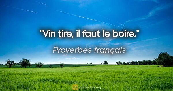 Proverbes français citation: "Vin tire, il faut le boire."