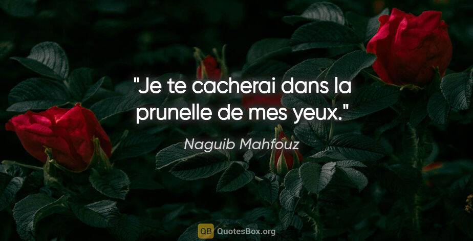 Naguib Mahfouz citation: "Je te cacherai dans la prunelle de mes yeux."
