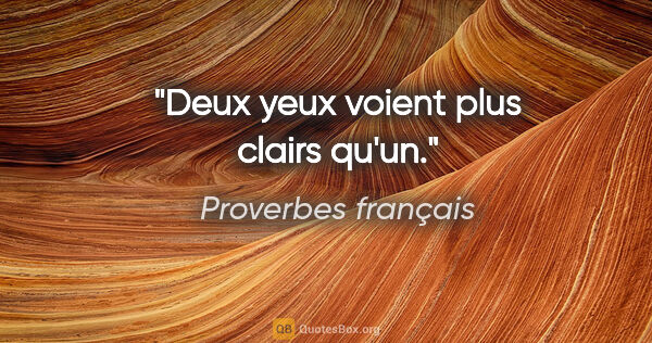 Proverbes français citation: "Deux yeux voient plus clairs qu'un."