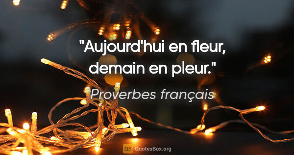 Proverbes français citation: "Aujourd'hui en fleur, demain en pleur."