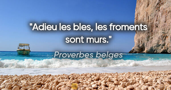 Proverbes belges citation: "Adieu les bles, les froments sont murs."
