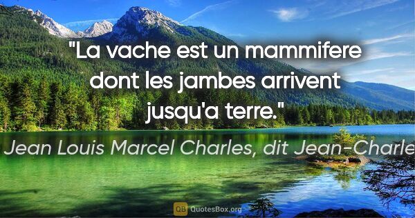 Jean Louis Marcel Charles, dit Jean-Charles citation: "La vache est un mammifere dont les jambes arrivent jusqu'a terre."