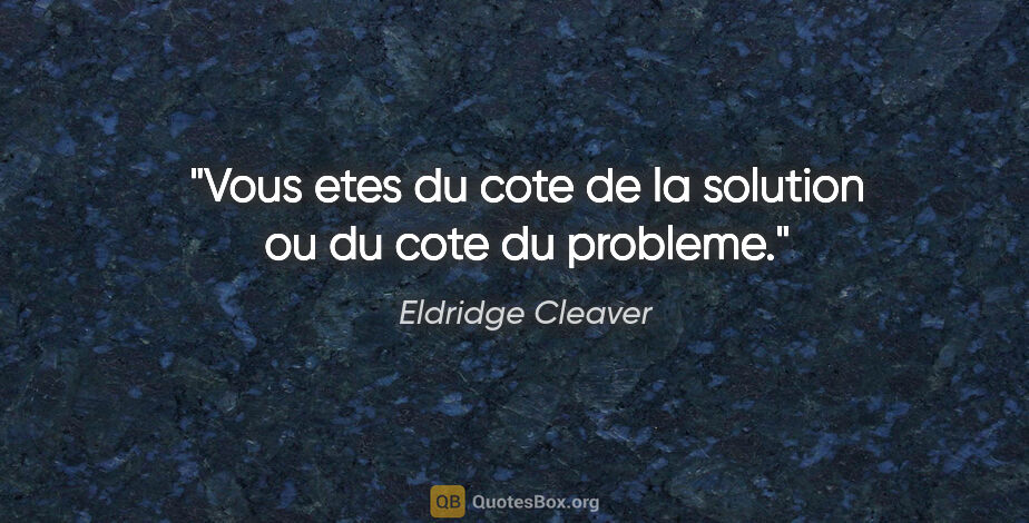 Eldridge Cleaver citation: "Vous etes du cote de la solution ou du cote du probleme."