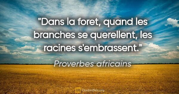 Proverbes africains citation: "Dans la foret, quand les branches se querellent, les racines..."