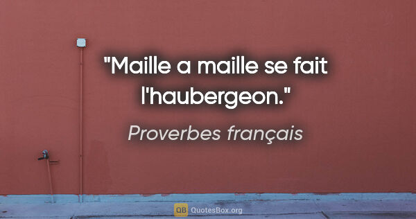 Proverbes français citation: "Maille a maille se fait l'haubergeon."