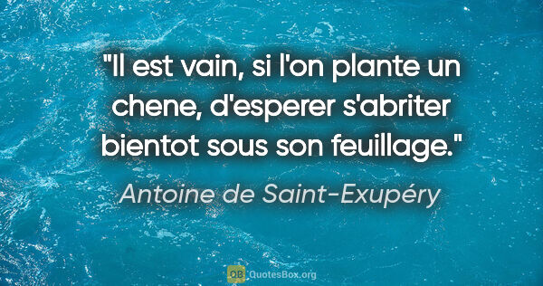 Antoine de Saint-Exupéry citation: "Il est vain, si l'on plante un chene, d'esperer s'abriter..."