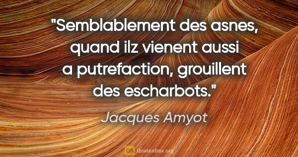Jacques Amyot citation: "Semblablement des asnes, quand ilz vienent aussi a..."