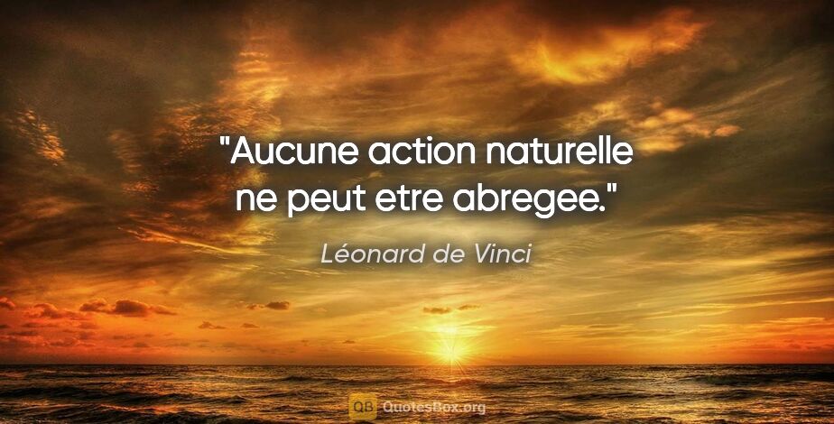 Léonard de Vinci citation: "Aucune action naturelle ne peut etre abregee."