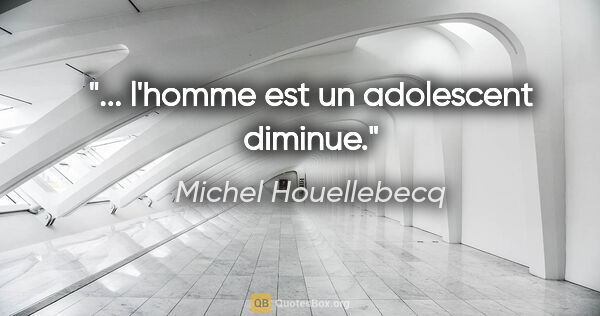 Michel Houellebecq citation: "... l'homme est un adolescent diminue."