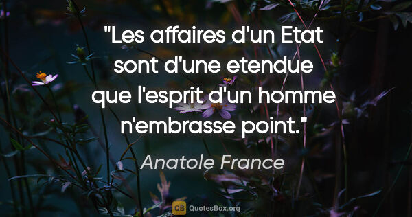 Anatole France citation: "Les affaires d'un Etat sont d'une etendue que l'esprit d'un..."
