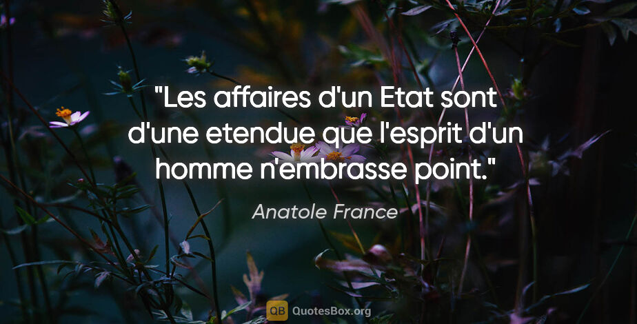 Anatole France citation: "Les affaires d'un Etat sont d'une etendue que l'esprit d'un..."