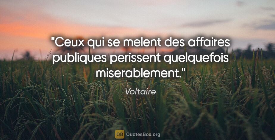 Voltaire citation: "Ceux qui se melent des affaires publiques perissent..."