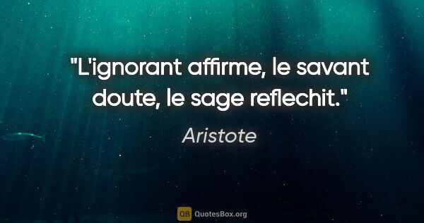 Aristote citation: "L'ignorant affirme, le savant doute, le sage reflechit."
