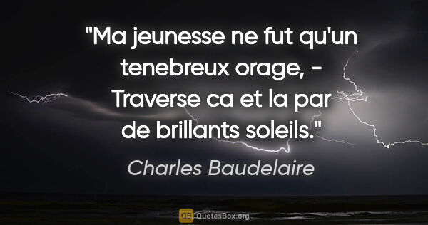 Charles Baudelaire citation: "Ma jeunesse ne fut qu'un tenebreux orage, - Traverse ca et la..."