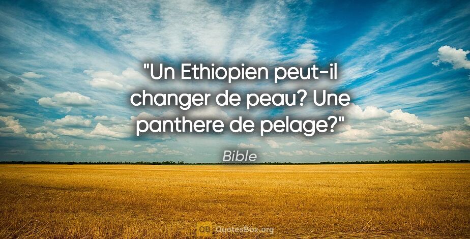 Bible citation: "Un Ethiopien peut-il changer de peau? Une panthere de pelage?"