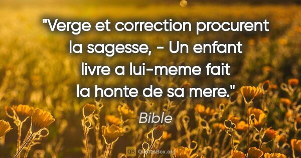 Bible citation: "Verge et correction procurent la sagesse, - Un enfant livre a..."