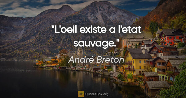 André Breton citation: "L'oeil existe a l'etat sauvage."