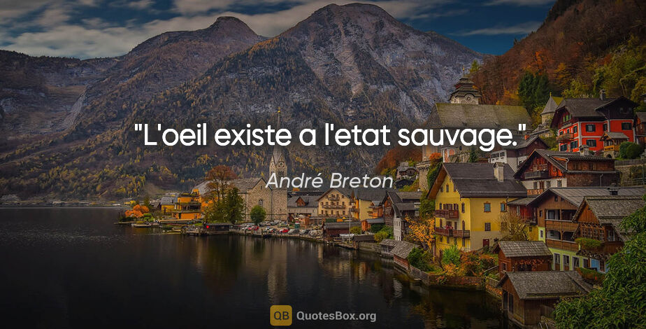 André Breton citation: "L'oeil existe a l'etat sauvage."