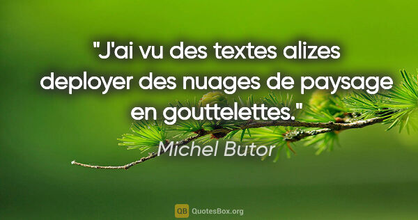 Michel Butor citation: "J'ai vu des textes alizes deployer des nuages de paysage en..."