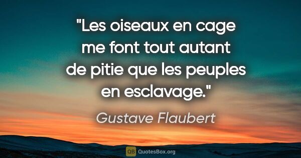 Gustave Flaubert citation: "Les oiseaux en cage me font tout autant de pitie que les..."