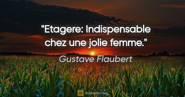 Gustave Flaubert citation: "Etagere: Indispensable chez une jolie femme."