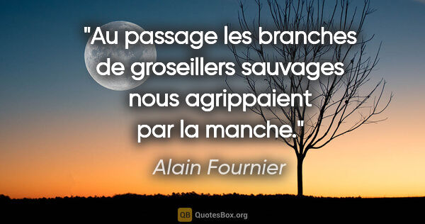 Alain Fournier citation: "Au passage les branches de groseillers sauvages nous..."