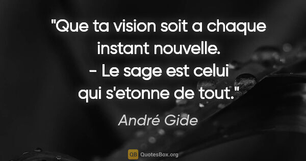 André Gide citation: "Que ta vision soit a chaque instant nouvelle. - Le sage est..."