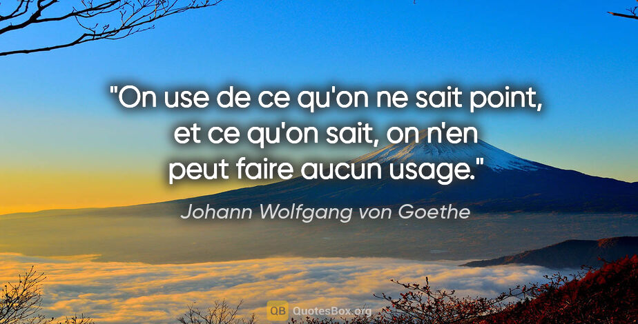 Johann Wolfgang von Goethe citation: "On use de ce qu'on ne sait point, et ce qu'on sait, on n'en..."