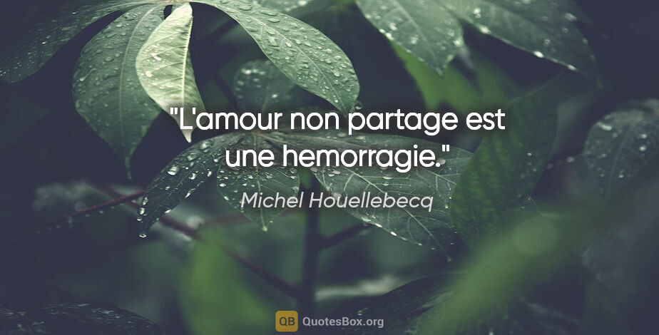 Michel Houellebecq citation: "L'amour non partage est une hemorragie."