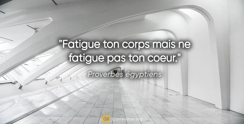 Proverbes égyptiens citation: "Fatigue ton corps mais ne fatigue pas ton coeur."
