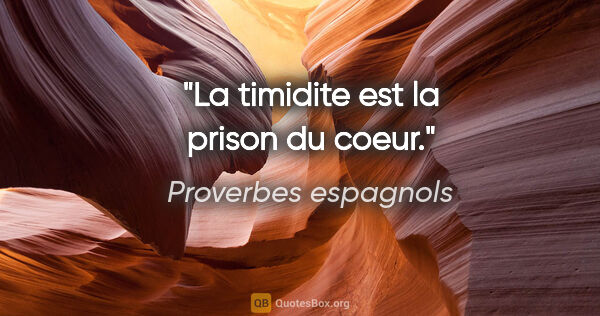 Proverbes espagnols citation: "La timidite est la prison du coeur."
