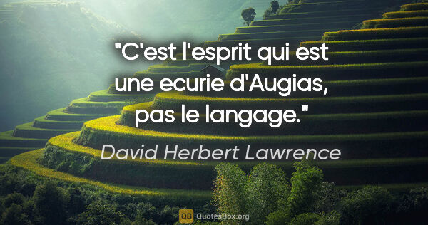 David Herbert Lawrence citation: "C'est l'esprit qui est une ecurie d'Augias, pas le langage."