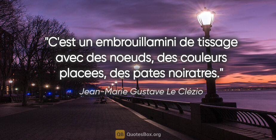 Jean-Marie Gustave Le Clézio citation: "C'est un embrouillamini de tissage avec des noeuds, des..."