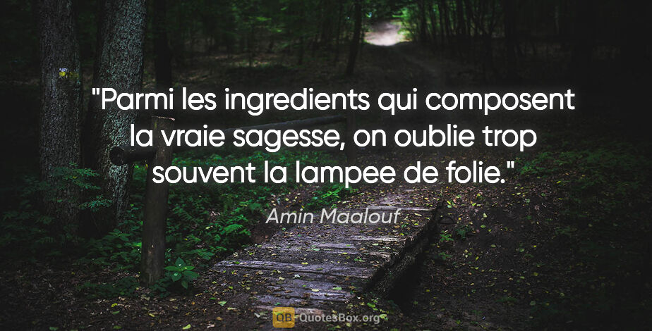 Amin Maalouf citation: "Parmi les ingredients qui composent la vraie sagesse, on..."