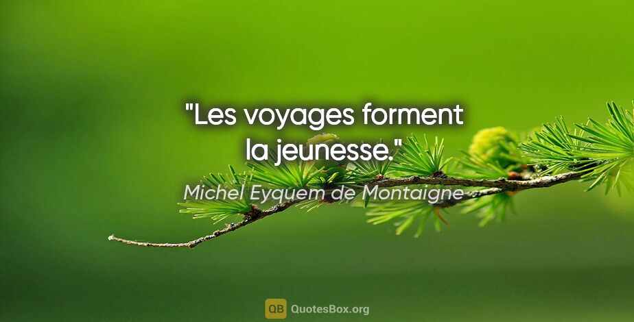 Michel Eyquem de Montaigne citation: "Les voyages forment la jeunesse."