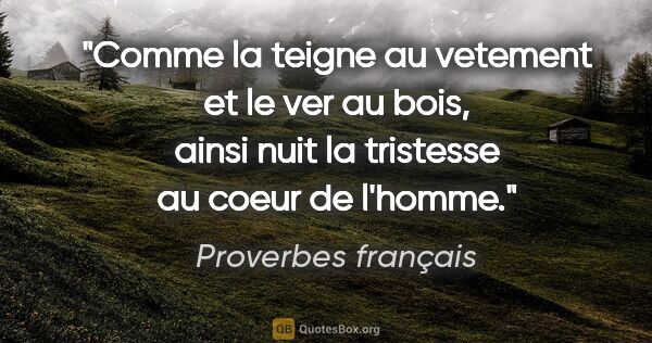 Proverbes français citation: "Comme la teigne au vetement et le ver au bois, ainsi nuit la..."