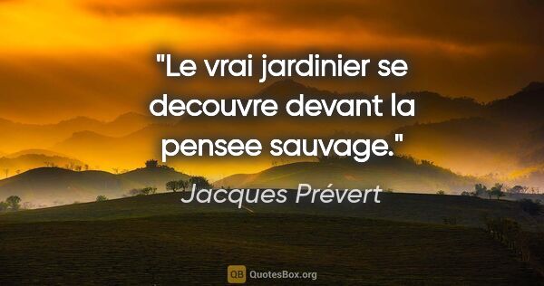 Jacques Prévert citation: "Le vrai jardinier se decouvre devant la pensee sauvage."