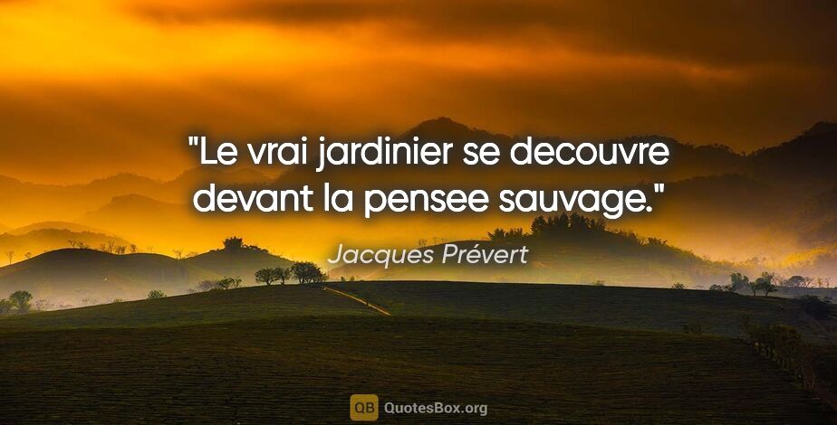 Jacques Prévert citation: "Le vrai jardinier se decouvre devant la pensee sauvage."