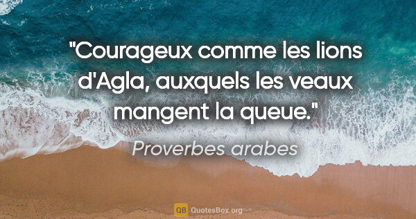 Proverbes arabes citation: "Courageux comme les lions d'Agla, auxquels les veaux mangent..."