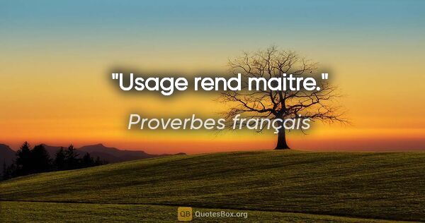 Proverbes français citation: "Usage rend maitre."