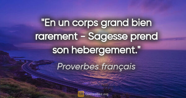 Proverbes français citation: "En un corps grand bien rarement - Sagesse prend son hebergement."