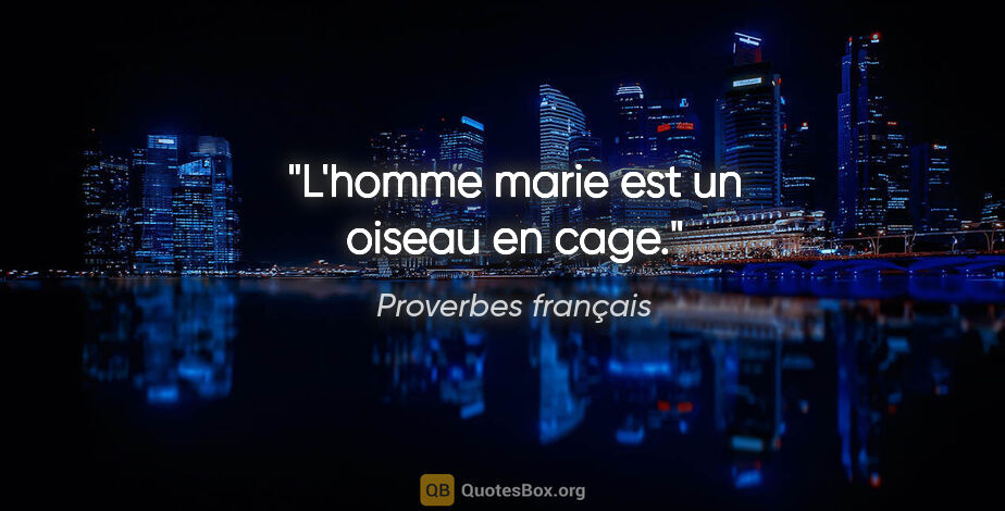 Proverbes français citation: "L'homme marie est un oiseau en cage."