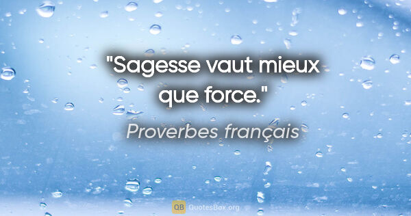 Proverbes français citation: "Sagesse vaut mieux que force."