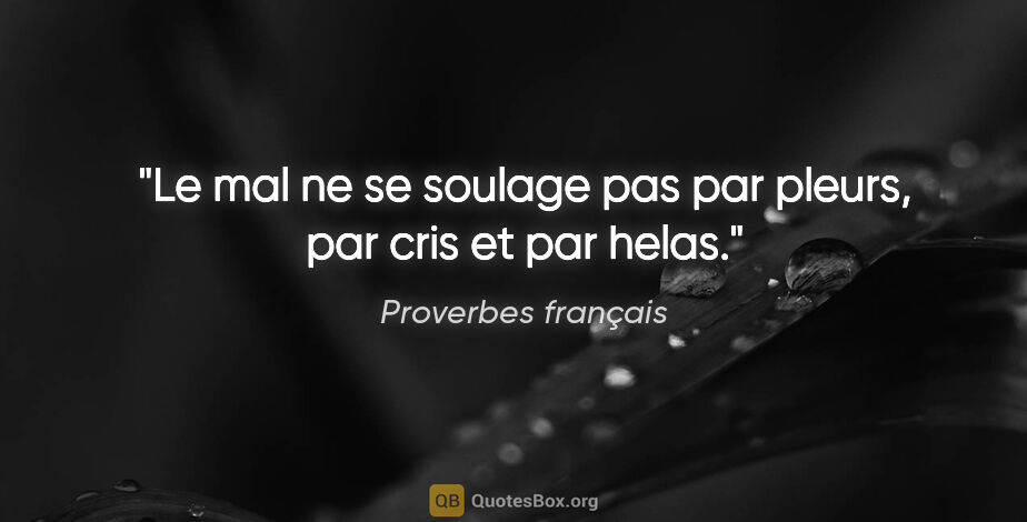 Proverbes français citation: "Le mal ne se soulage pas par pleurs, par cris et par helas."