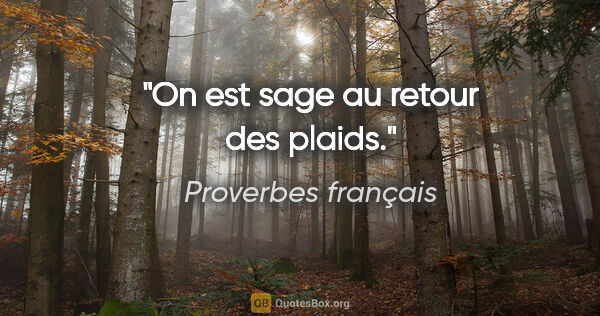 Proverbes français citation: "On est sage au retour des plaids."