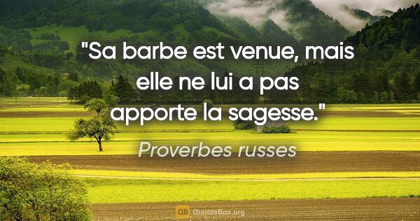 Proverbes russes citation: "Sa barbe est venue, mais elle ne lui a pas apporte la sagesse."